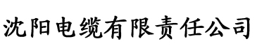 大香蕉在线导航电缆厂logo